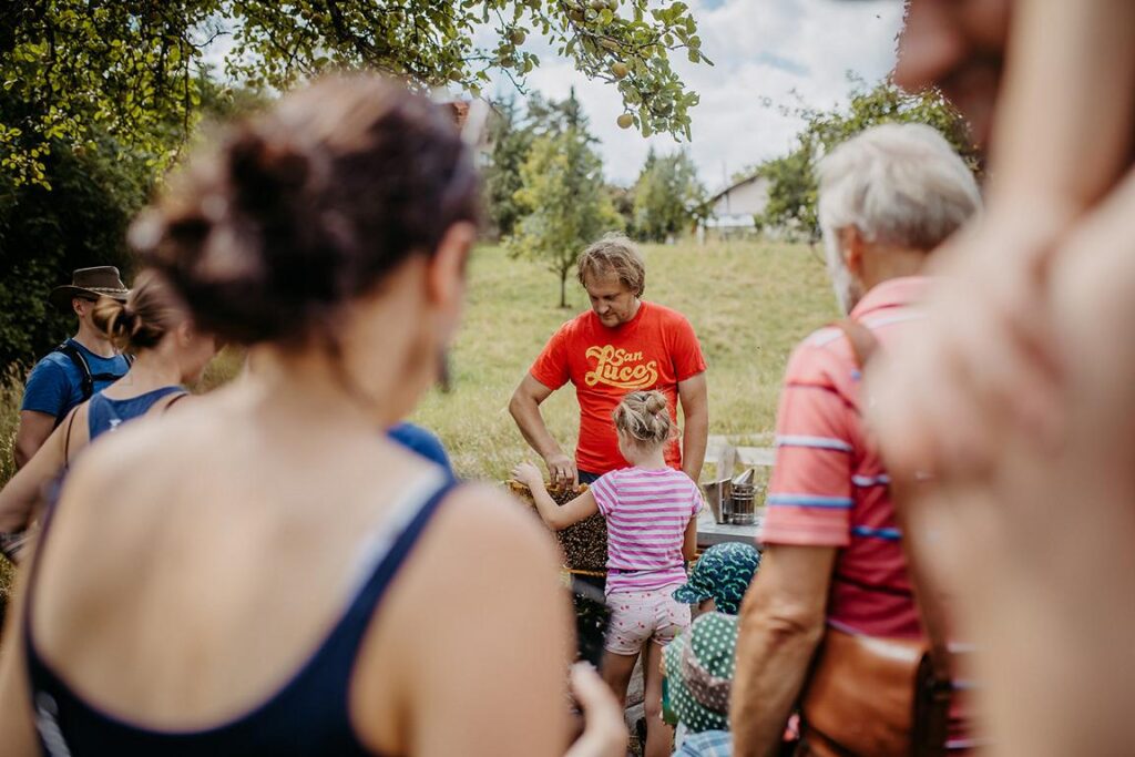 Bienen Erlebnis und Erfahrungen Führungen