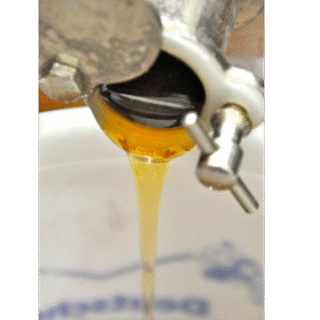 Honig fließt aus Honigschleuder im Honigjahr 2019