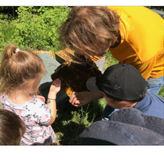 Kinder am Bienenvolk