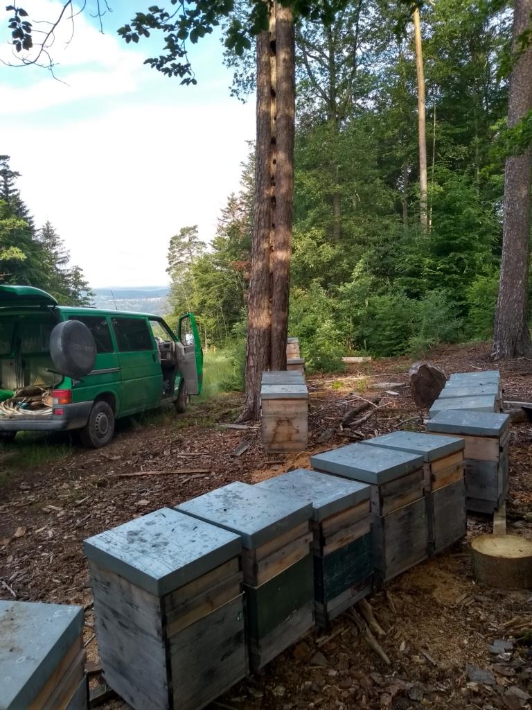 Waldhonig mit Imkerfahrzeug