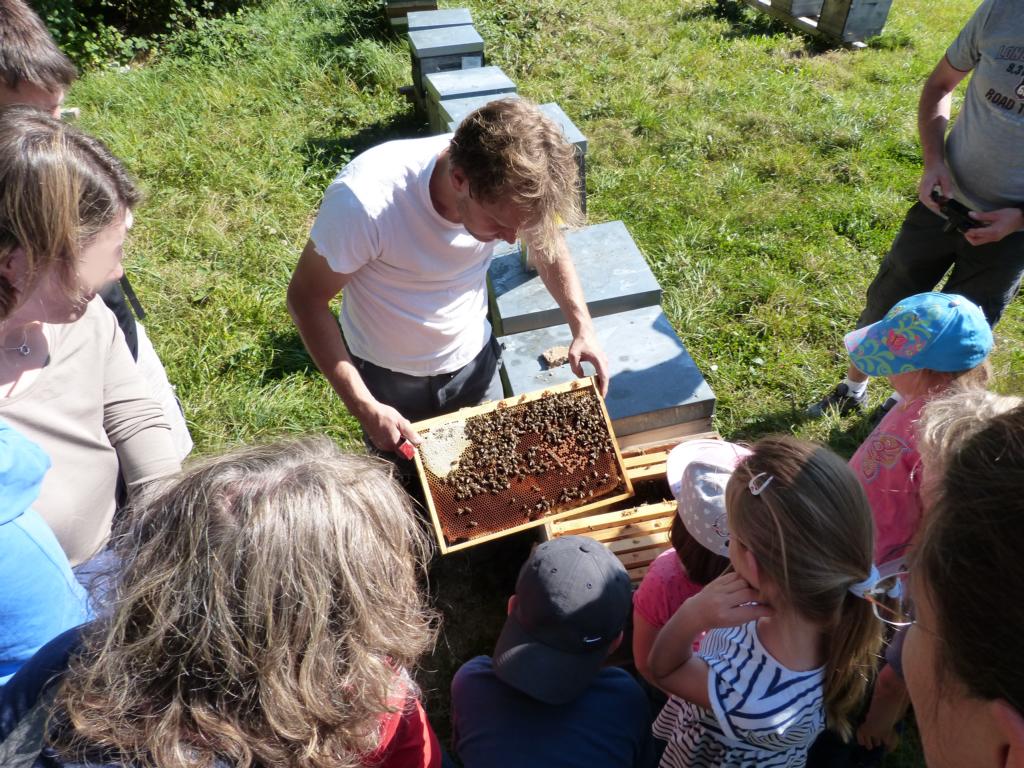 Soziale - und Naturschutzprojekte 3