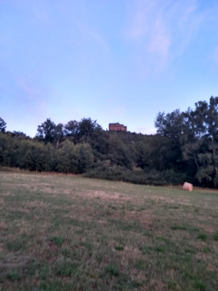 Pfälzer Wald Edelkastanie