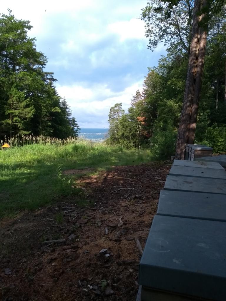 Bienenstand Waldhonig Schwäbischer Wald