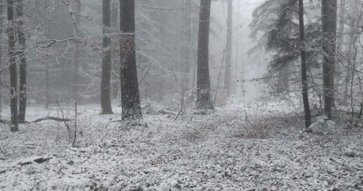 Feierabend kurz vor Weihnachten