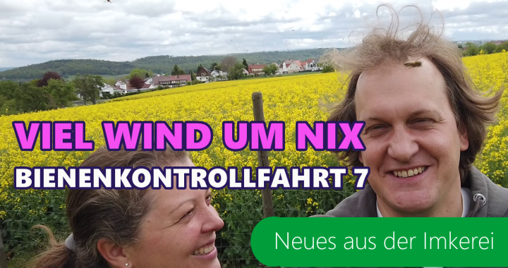 Historisch schlechte Honigernte