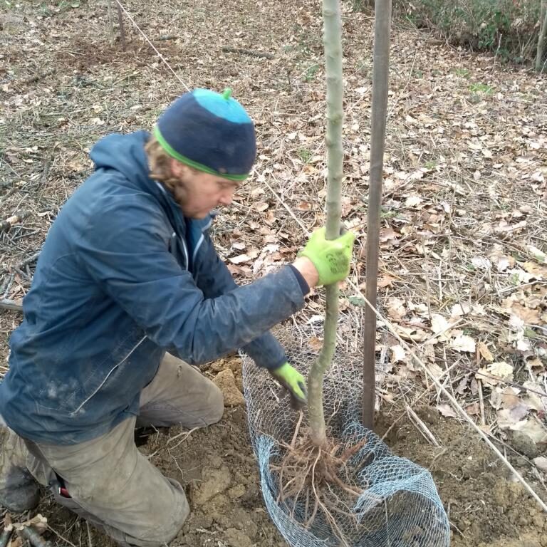 Soziale - und Naturschutzprojekte 1