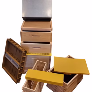 Bienenkasten Komplett Set - Imkerkurs Imkerei Goldblüte
